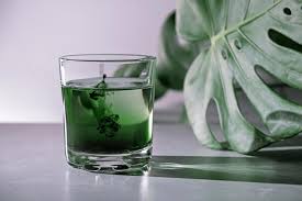 What is Chlorophyll?